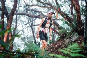 BIB: 
                            <button type="button" onclick="openModal(26295205)" class="btn btn-primary btn-sm float-right btn-popup" data-toggle="modal" data-target=".modal-high-quality">
                        <i class="fas fa-shopping-cart"></i> Add to Cart
                    </button>
                                            <button type="button" onclick="isThisMe(26295205, true)" class="btn btn-success btn-sm float-right btn-popup btn-isme hidden" data-toggle="tooltip" data-placement="bottom" title="นี่คือรูปของคุณใช่ไหม คลิกที่นี่เพื่อเอาเข้าอัลบั้ม">
                        <i class="fas fa-plus"></i> Add to album
                    </button>
                    <button type="button" onclick="isThisMe(26295205, false)" class="btn btn-warning btn-sm float-right btn-popup btn-isnotme hidden">
                        <i class="fas fa-ban"></i> Remove from album
                    </button>